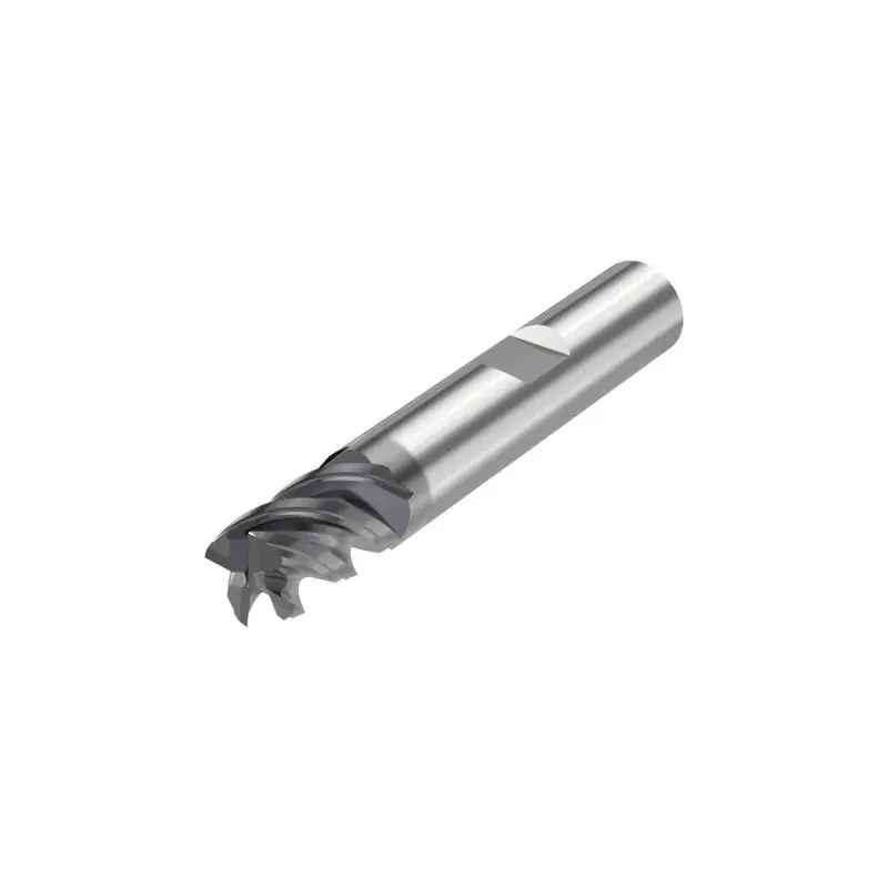 JS554120D1C.3Z4-SIRA - | Oblíbený produkt
