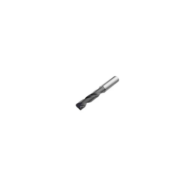 Skvělá cena - SD203A-0365-014-06R1-P Vrták monolitní Feedmax SD2xx