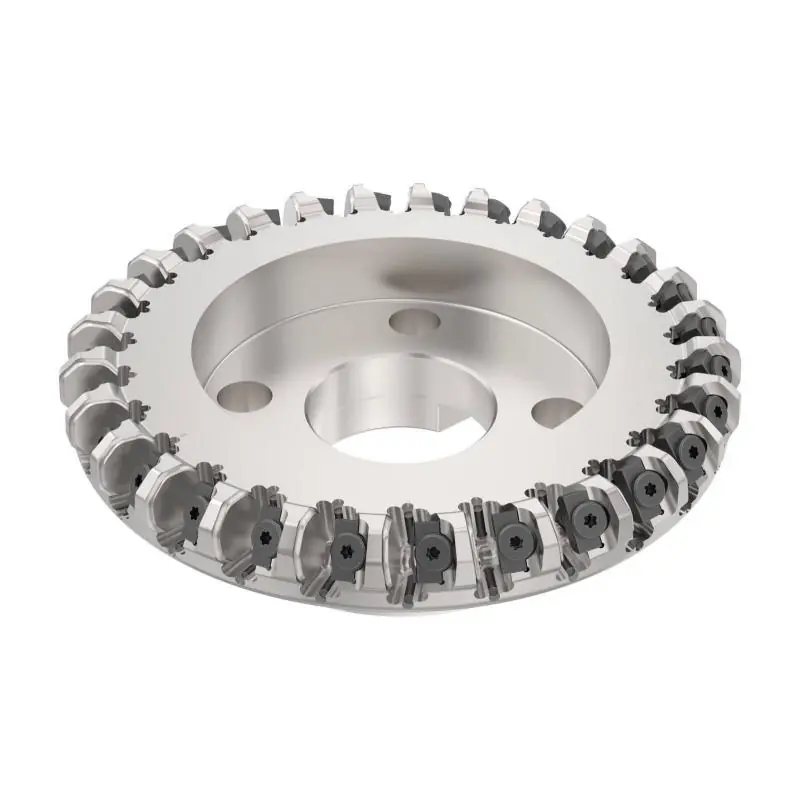 R220.48-8160-09-20M Fréza (těleso) Octomill pro čelní frézování - Tovární cena