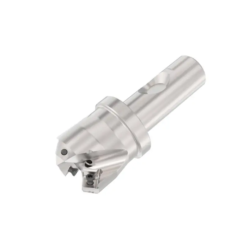R217.53-01.25.3S-09-4A Fréza (těleso) Quattromill pro čelní frézování - Bestseller