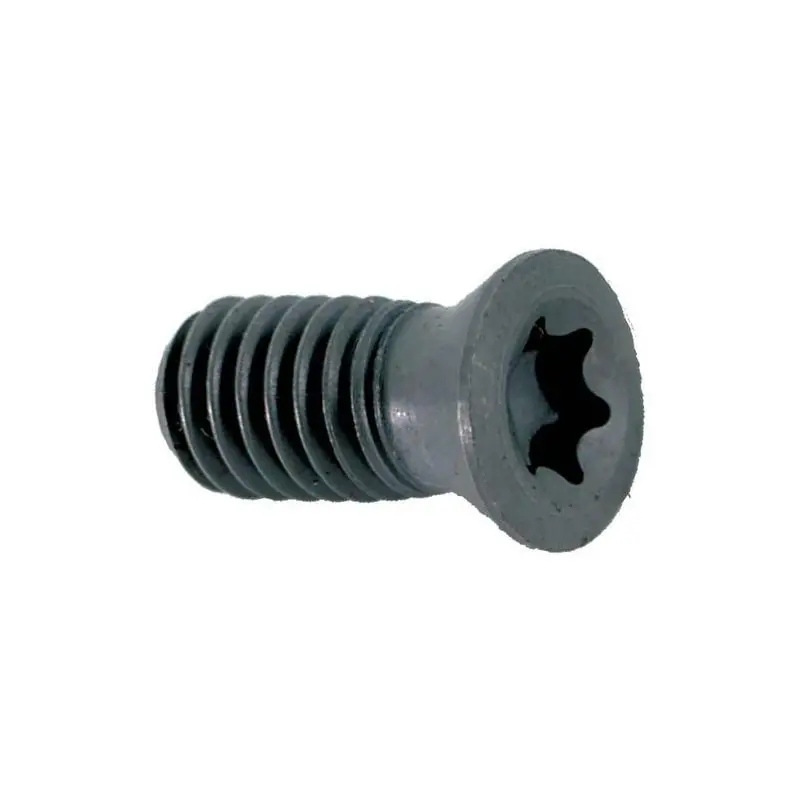 Extra sleva - Torx šroubek 16T3