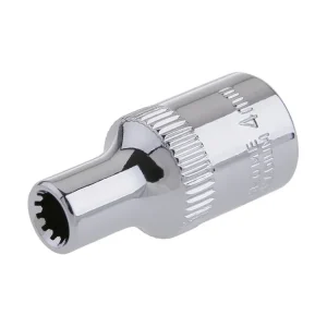 Objednejte dnes - Hlavice FESTA Multilock 1/4" 4mm L25mm