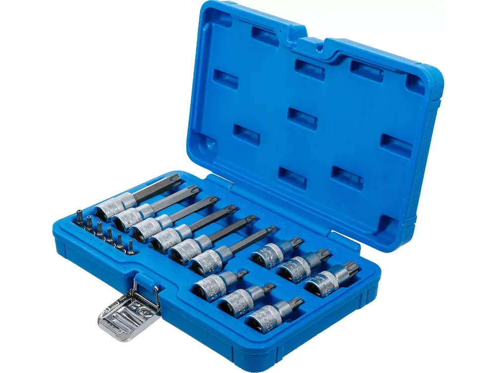 Sada nástrčných hlavic s bity Torx, 1/4", 1/2", T10H-T60H, 18 ks - B5174 | Prémiová kvalita