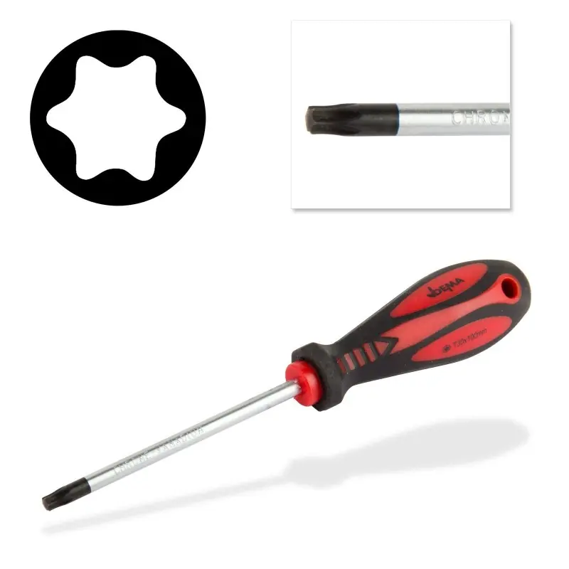 Premium - DEMA Šroubovák torx T30x6x100