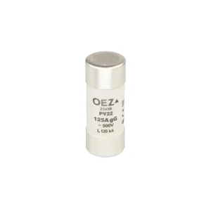 Objednat nyní | POJISTKA PV22 100A GG OEZ