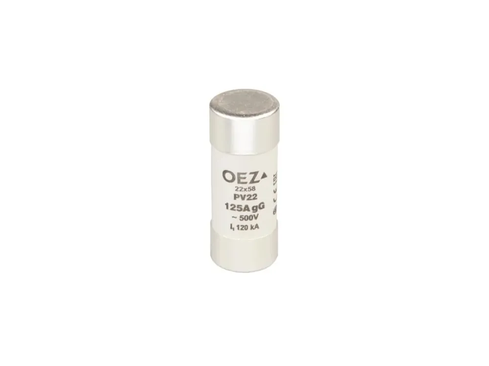 Objednat nyní | POJISTKA PV22 100A GG OEZ