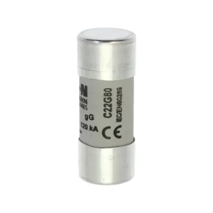 Jen dnes - Válcová pojistka GG 500V AC 80A C22(22,2x58mm)